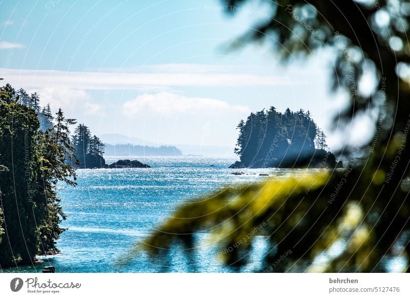 vancouver island Küste Himmel wild Wasser Meer beeindruckend besonders British Columbia Natur Kanada Nordamerika Freiheit Abenteuer Farbfoto Vancouver Island