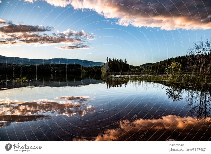 weil wir uns manchmal auf wolken wünschen stille friedlich Einsam Einsamkeit Himmel Reflexion & Spiegelung Bergsee weite Ferne Fernweh besonders