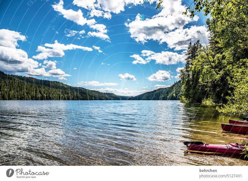 in der ruhe liegt die kraft Paddeln Natur British Columbia Idylle Abenteuer Nordamerika Bergsee Fernweh Landschaft See Kanada Ferne Bootsfahrt Wald