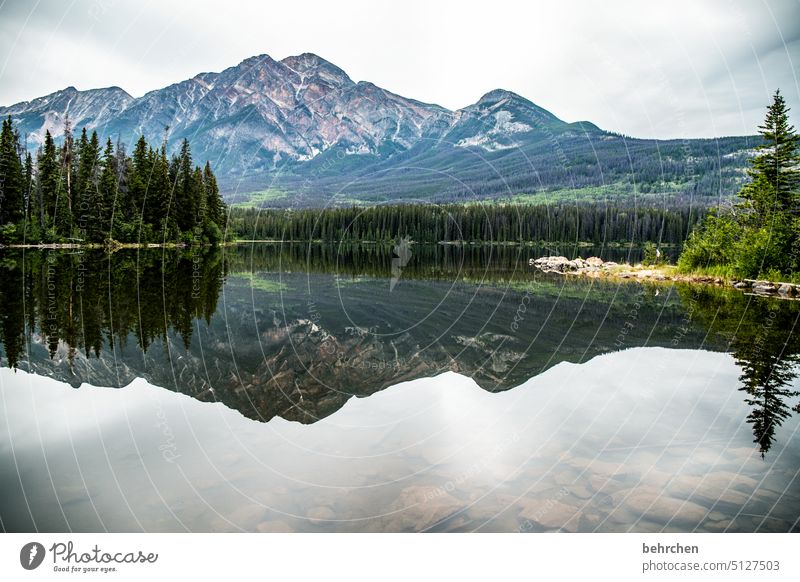 bergsee Alberta Wolken Jasper National Park See Kanada Berge u. Gebirge Wald Landschaft Bäume Außenaufnahme Natur Rocky Mountains Nordamerika Farbfoto