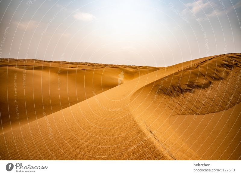 wärme außergewöhnlich Sanddüne Dunes Swakopmund traumhaft Düne magisch beeindruckend Wärme Walvisbay Himmel Ferien & Urlaub & Reisen Farbfoto Abenteuer