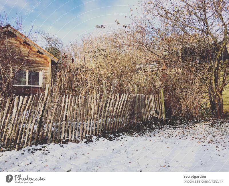 Einsiedlerdasein Schrebergarten Garten Idylle weiß Winter Zaun Baum Haus Holz Holzhaus Holzhütte Hütte Architektur schief wackelig Schneedecke Außenaufnahme