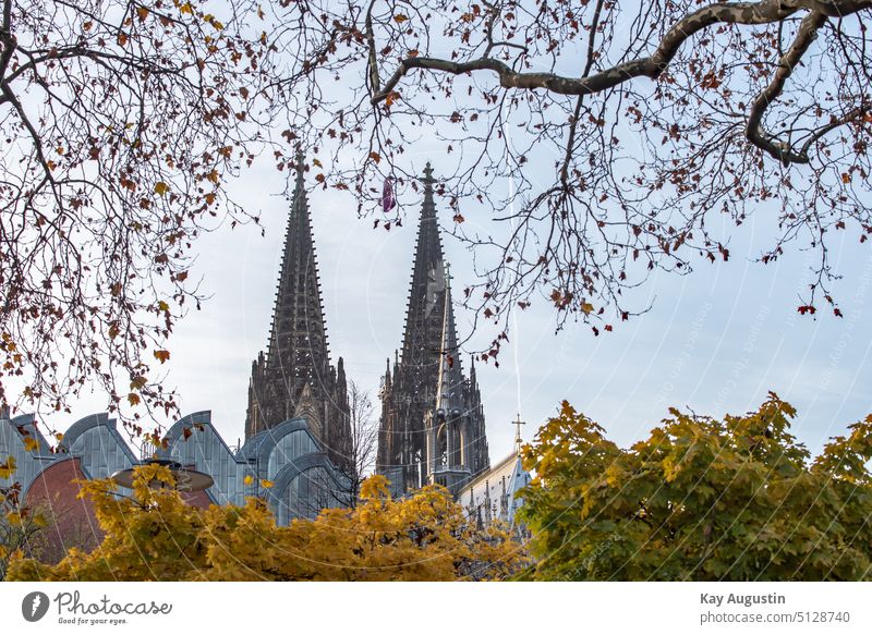 Kölner Domspitzen vom Rheinufer köln kölner dom domtürme bauwerk großstadt kirche herbstlich gotteshaus philharmonie altstadt herbstlaub herbstfarben domspitzen