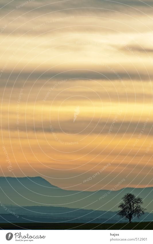 Sonnenuntergang im Herbst Ferne Berge u. Gebirge Natur Landschaft Baum Feld Hügel dunkel rosa Stimmung Romantik ästhetisch Zufriedenheit Himmel Farben