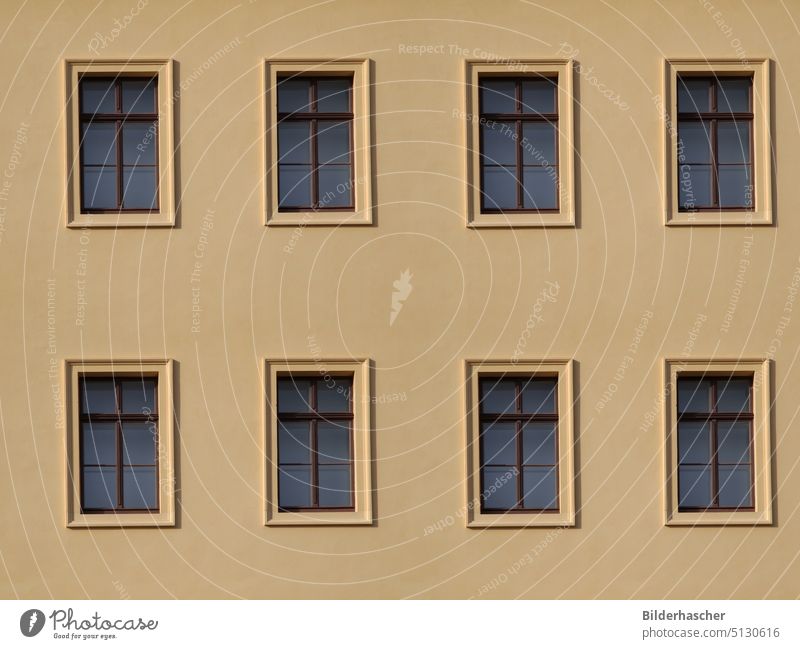 Beige Hausfassade mit acht Holzfenstern Fassade hausfassade Außenputz Putz außen hausfront holzfenster fassadengestalltung wohnhaus hintergrund Einfamilienhaus