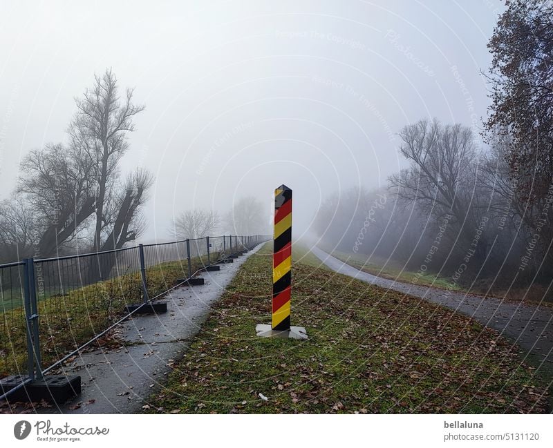 An der Oder, oder? Oderbruch Natur Menschenleer Farbfoto Außenaufnahme Tag Landschaft Umwelt Himmel Textfreiraum oben Baum natürlich Wiese Pflanze Gras grün