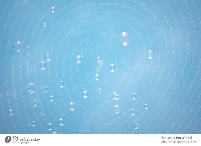 schillernde Seifenblasen steigen in den blauen Himmel glänzend durchsichtig Reflexion & Spiegelung Vergänglichkeit Leichtigkeit mehrfarbig Kugel schweben rund