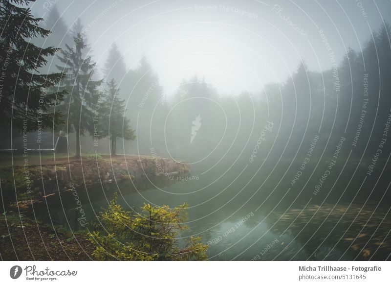 Bergsee bei dichtem Nebel Bergsee an der Ebertswiese Thüringen Thüringer Wald See Wasser Hütte Nebelschwaden Bäume Felsen Felswand Steine Ufer Himmel Wolken