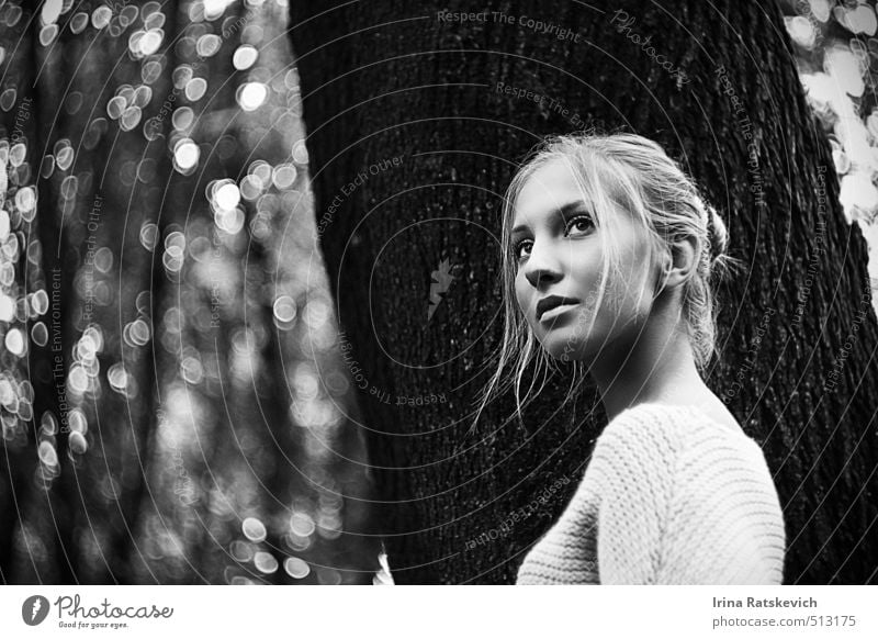 Veronica schön Jugendliche 1 Mensch 18-30 Jahre Erwachsene Natur Herbst Baum Wald Pullover genießen Blick träumen warten Fröhlichkeit grau Inspiration