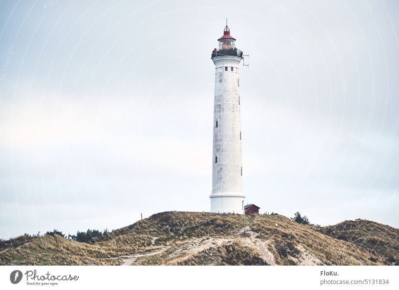 Lynvig Fyr Leuchtturm auf Düne Gebäude Architektur Himmel Tourismus Ferien & Urlaub & Reisen Küste Außenaufnahme Sehenswürdigkeit blau Natur Farbfoto rund hoch