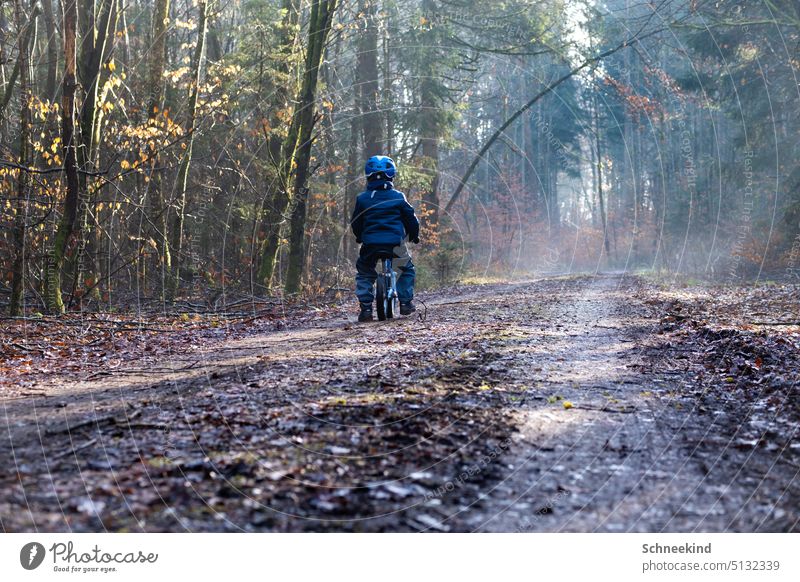 Junge auf Laufrad im Wald Kind Kleinkind Kindheit Bewegung Waldweg draußen Lichteinfall Lichtstrahl Lichtstimmung Blätter Mischwald Helm Helmpflicht Kind sein