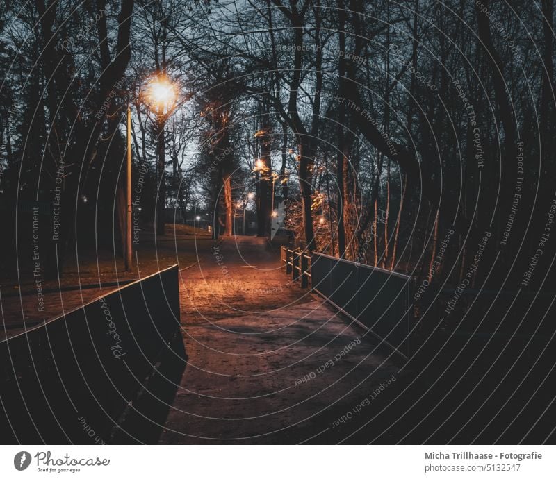 Park in der Nacht Stadtpark Dunkelheit Laternen Lampe Laternenschein Brücke Geländer Weg Licht Schatten Bäume Äste Zweige Himmel Abend Morgen Dämmerung