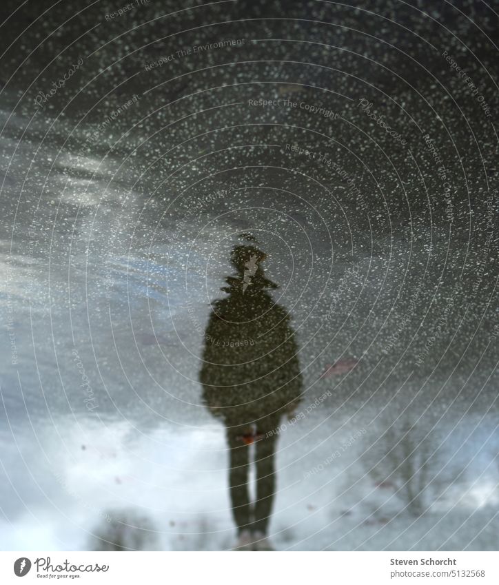 Spiegelung in der Pfütze Reflexion & Spiegelung Regen Straße nass schlechtes Wetter Außenaufnahme Regenwetter Wasser feucht grau dunkel Wege & Pfade Natur