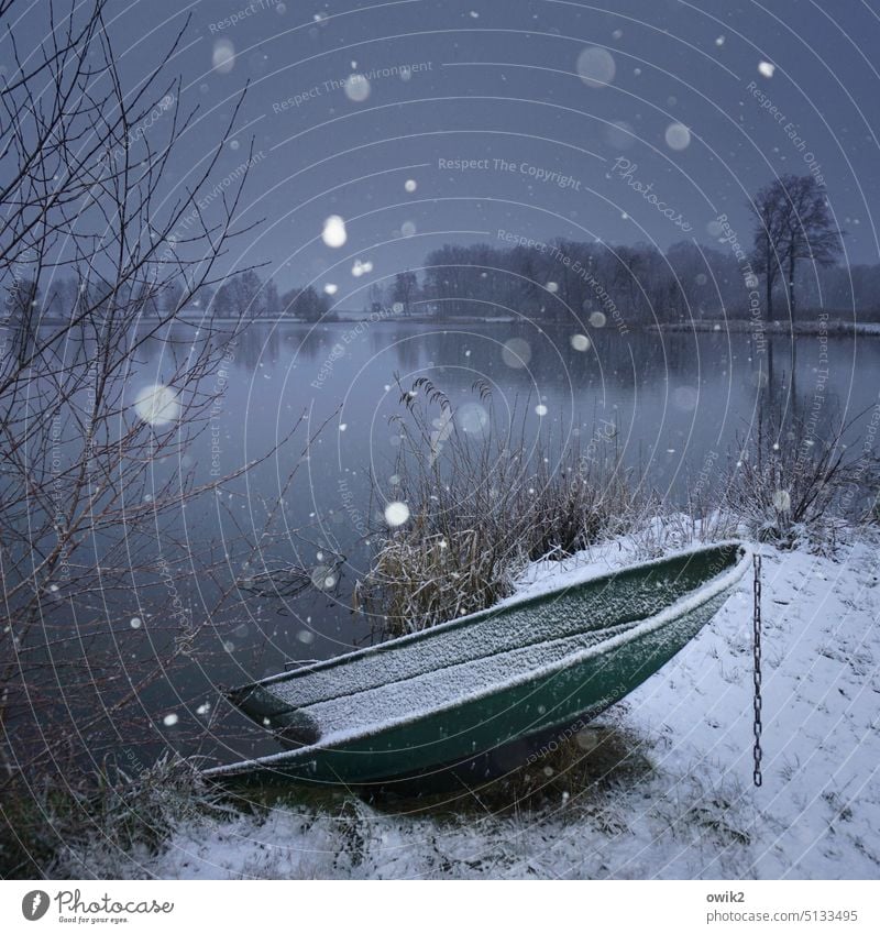 Abgesoffen Wasserfahrzeug Ruderboot Seeufer Sträucher Frost Winter Horizont Himmel Erde Landschaft Natur Umwelt Winterpause Kahn Rost Metall warten