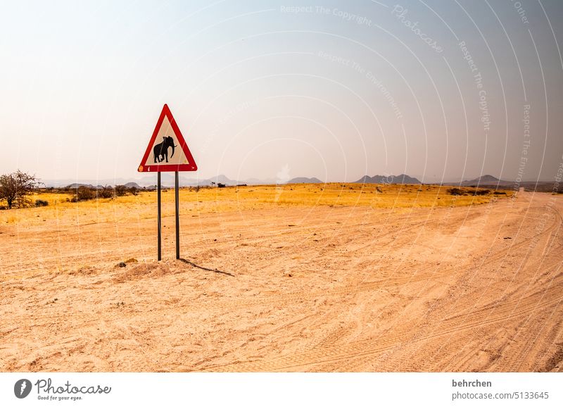 obacht! Achtung Schilder & Markierungen Verkehrsschild Einsam Ferien & Urlaub & Reisen Landschaft Himmel Straße Wege & Pfade außergewöhnlich Afrika weite Ferne