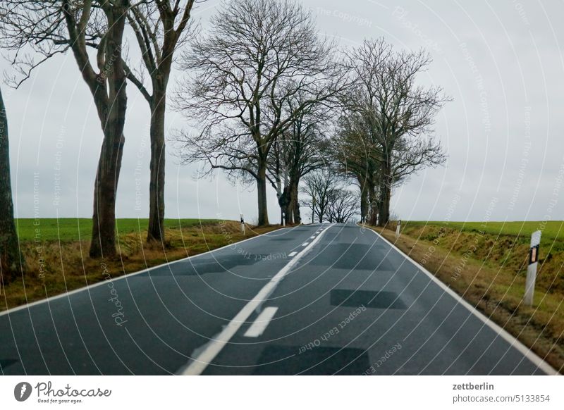 Landstraße auf Rügen aussicht bodden erholung ferien ferne horizont insel küste mecklenburg mönchgut natur naturschutz nebensaison ostsee ostseeküste rügen