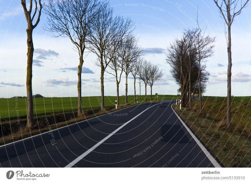 Landstraße auf Rügen aussicht bodden erholung ferien ferne horizont insel küste mecklenburg mönchgut natur naturschutz nebensaison ostsee ostseeküste rügen