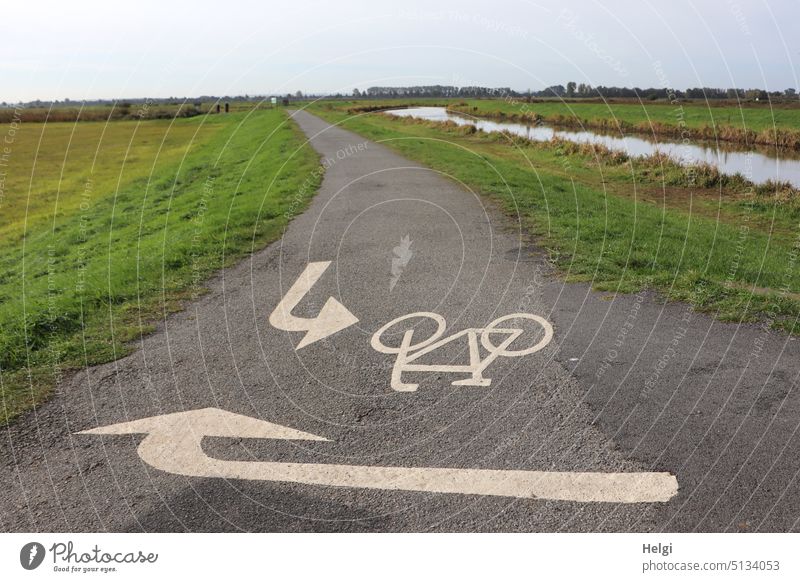 richtungsweisende Pfeile auf einem Fahrradweg  in den Moorwiesen am Dümmer See Radweg Kennzeichen Richtung radfahren Wiese Ochsenmoor Fluss Hunte