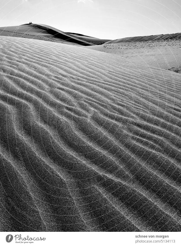 Weite Wellen Wüste Dünen Sand Ferien & Urlaub & Reisen Außenaufnahme Himmel Landschaft reisen Strand Tourismus Meer Wolken Natur Umwelt Küste Erholung sandig