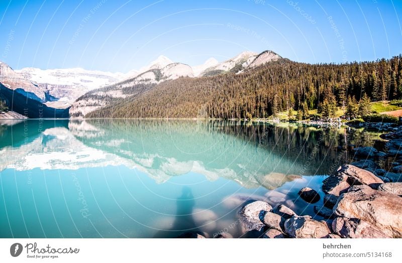 stille Lake Louise Alberta Abenteuer Freiheit See Landschaft Berge u. Gebirge Kanada Außenaufnahme Natur Rocky Mountains Nordamerika Farbfoto fantastisch