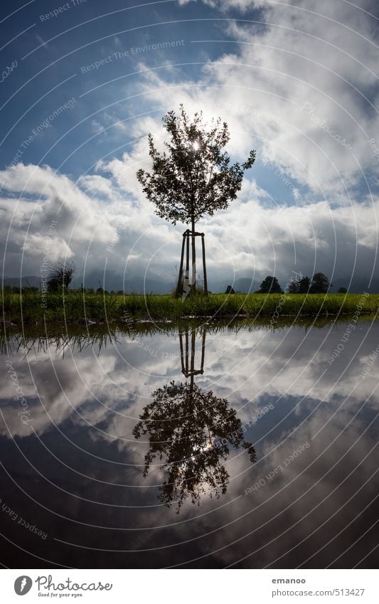 Spiegelwachstum Ausflug Umwelt Natur Landschaft Pflanze Wasser Himmel Wolken Horizont Wetter Baum Gras Garten Wiese Feld Teich See Wachstum klein Schutz