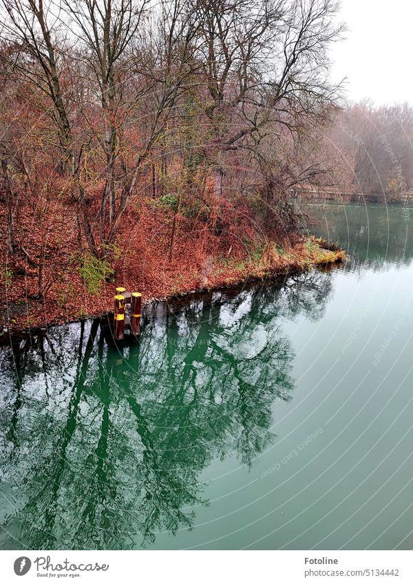 Still liegt das Strausberger Mühlenfließ vor mir. Und obwohl es Winter und kalt ist, fesselten mich die Farben und ich musste innehalten um ein paar Fotos zu machen.