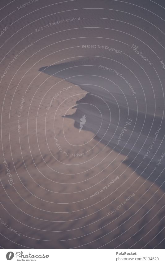 #A0# Sand und so Wind Dünenschutz Dünenrücken Dünenkamm dünenlandschaft Sandstrand Wüste Form formen Formation Symmetrie sandig Sandkorn Sandverwehung