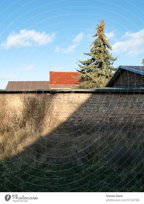 Baum und Dächer hinter Mauer Schatten Dächerlandschaft Dorf Siedlung Zusammenleben versteckt Gebäude Wand Grundstück Bauwerk verwildert Wiese alt Dach