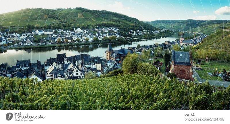 Draufsicht Zell Zell/Mosel Fluss Weinberg Natur Moselgebiet Landschaft Außenaufnahme Rheinland-Pfalz Moseltal Idylle Mosel (Weinbaugebiet) Tourismus Flussufer