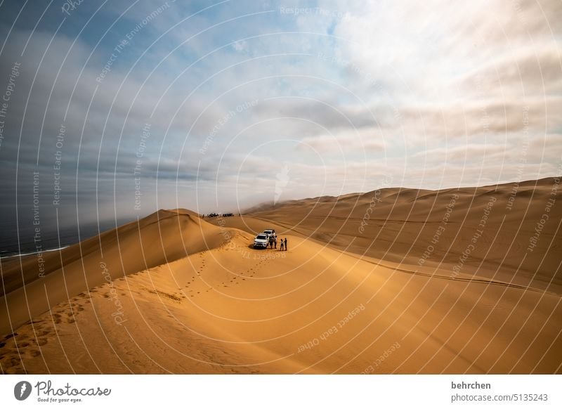 unwirklich schön Jeeps Nebel außergewöhnlich Meer Spuren Sanddüne beeindruckend Farbfoto Düne magisch Ferien & Urlaub & Reisen traumhaft Himmel Swakopmund Dunes