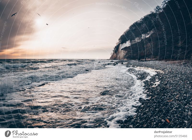 Kreidefelsen von Rügen vom Strand aus gesehen II Abenteuer Umwelt Ausflug Tourismus Ferien & Urlaub & Reisen Ferne Landschaft Natur wandern Freiheit Pflanze