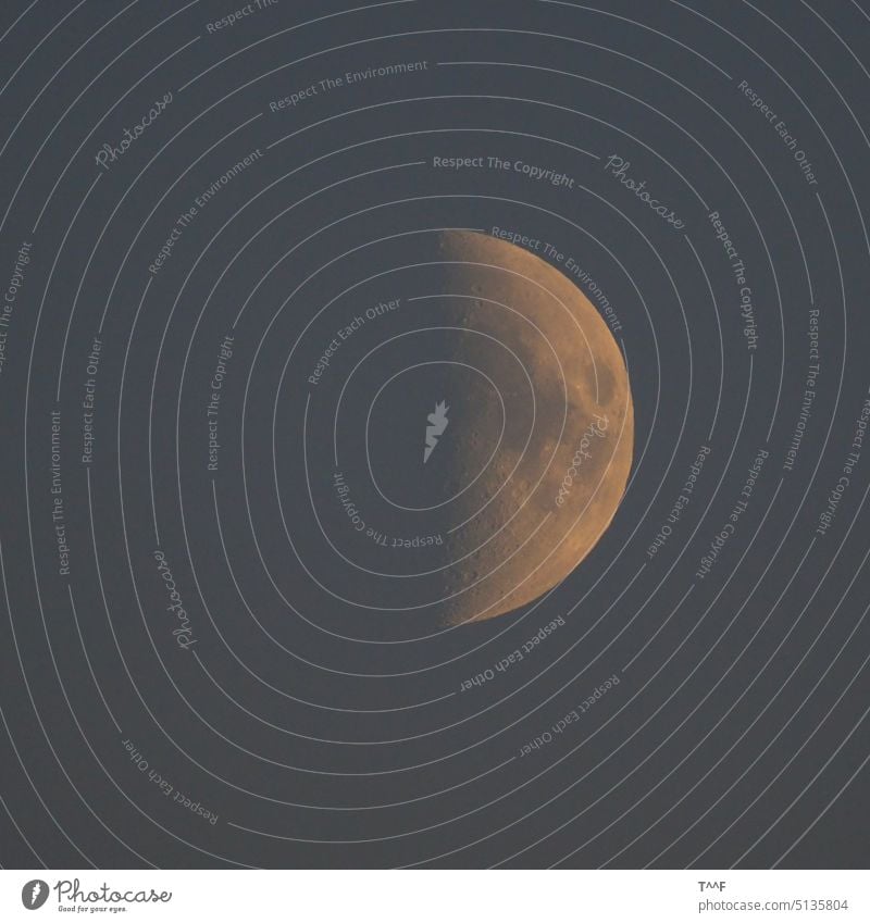 Halber Mond am Himmel, während die Sonne gerade untergeht Halbmond halber Mond Luna Erdmond Mondaufgang Sonnenuntergang Abendstimmung Abenddämmerung Abendrot