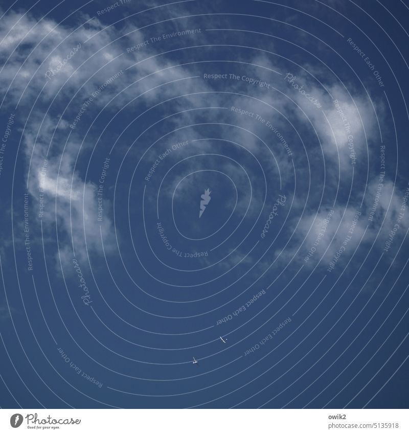 Segeltörn Segelflugzeug Segelfliegen Himmel Wolken blau groß Luftverkehr Freizeit & Hobby Ferne aufwärts kreisen Aufwind Freiheit Schönes Wetter Außenaufnahme