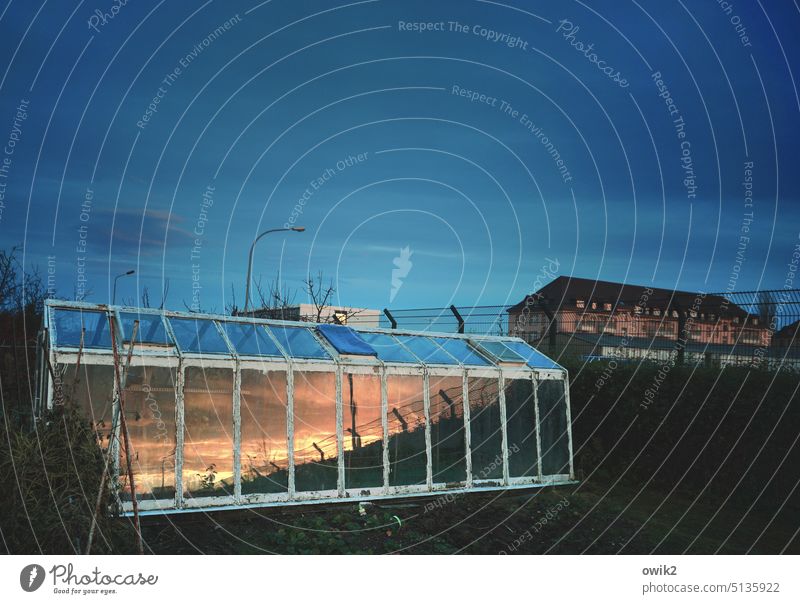 Tagesspiegel Garten Schrebergarten Gewächshaus Sonnenlicht Kontrast Menschenleer Glas Lichterscheinung Außenaufnahme leuchten Gegenlicht Himmel Wolken Horizont