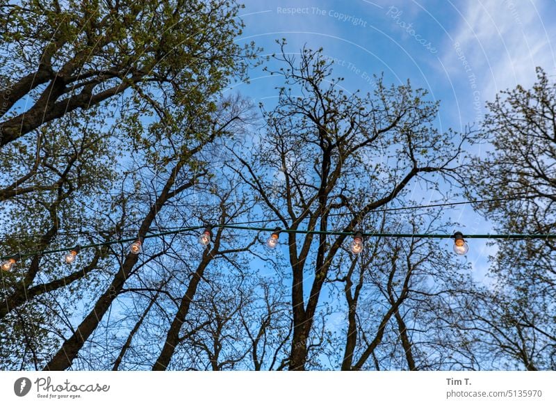 Prater Biergarten Lichterkette Frühling Außenaufnahme Menschenleer Glühbirne Farbfoto Lampe Beleuchtung Berlin Prenzlauer Berg Himmel Kastanienbaum Stadt