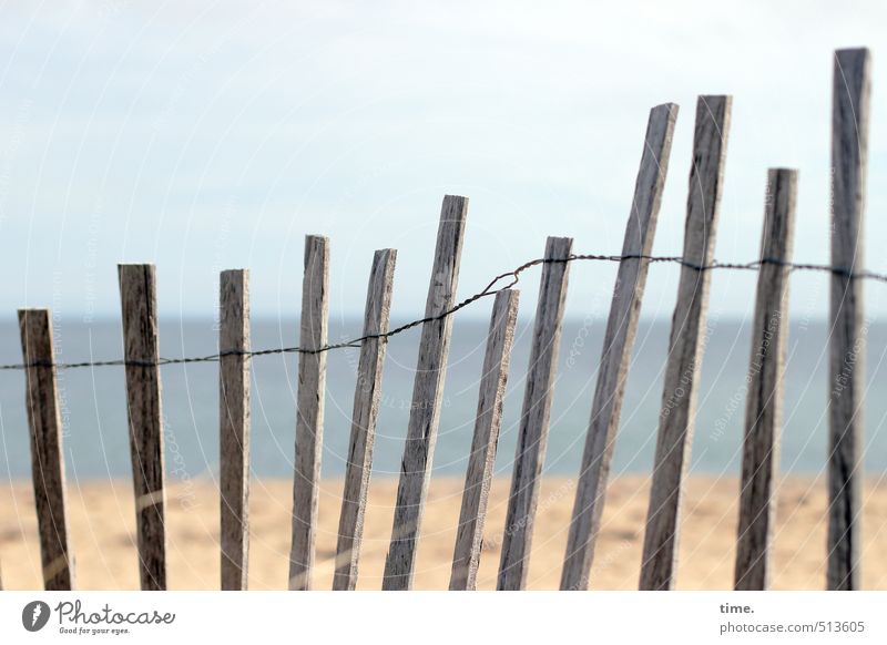 Kuschelgruppe | Tanz am Strand Tanzen Umwelt Natur Landschaft Wasser Himmel Herbst Schönes Wetter Küste Meer Zaun Holzbrett Verbindungstechnik Draht