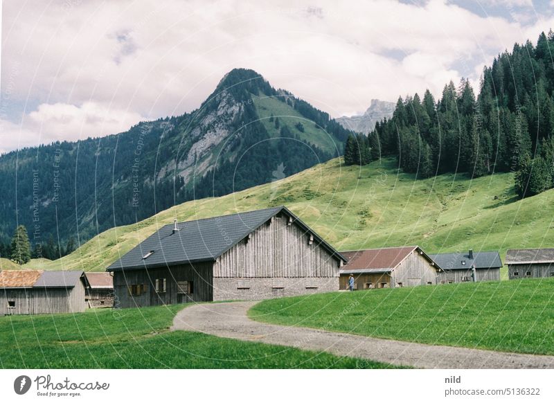 Vorsäßsiedlung Schönenbach im Bregenzerwald Berge Alpen Bergdorf Idyll Berge u. Gebirge Landschaft Tourismus Natur Ferien & Urlaub & Reisen Ausflug