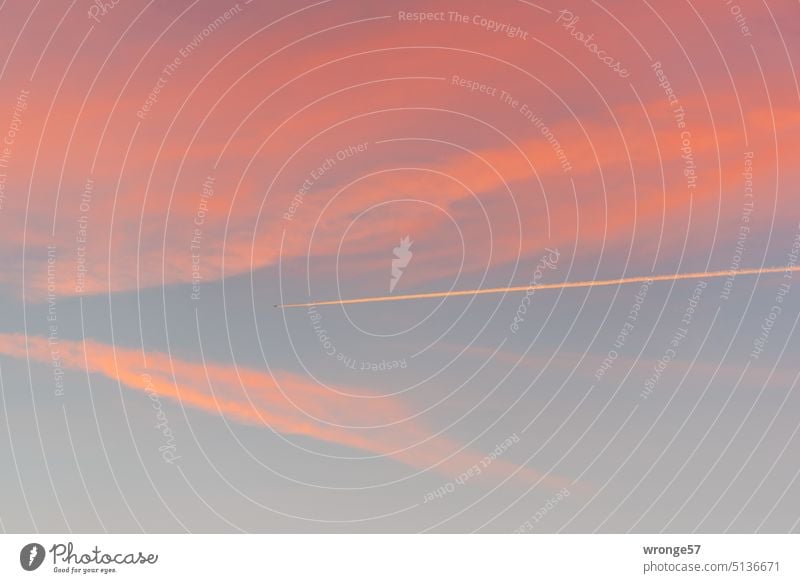 Abendhimmel mit Flugzeug und Kondensstreifen Abendröte rote Wolken Himmel Luftverkehr fliegen Menschenleer Außenaufnahme Schönes Wetter Passagierflugzeug Ferne
