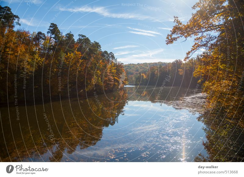 Bärensee 2013 | Autumn feelings Natur Landschaft Wasser Himmel Wolken Herbst Schönes Wetter Baum Sträucher Park kalt blau braun mehrfarbig gelb gold grün weiß