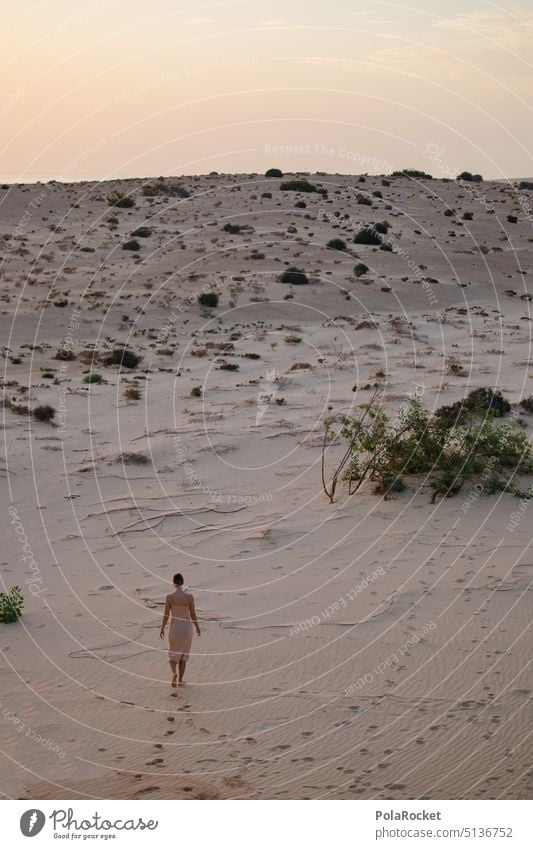 #A0# Wanna Live? Sand Sandstrand sandig Sandkorn Sandverwehung Düne Dünen dünenlandschaft Dünenkamm Dünenrücken Dünenschutz Dünen am Strand Kanaren Natur