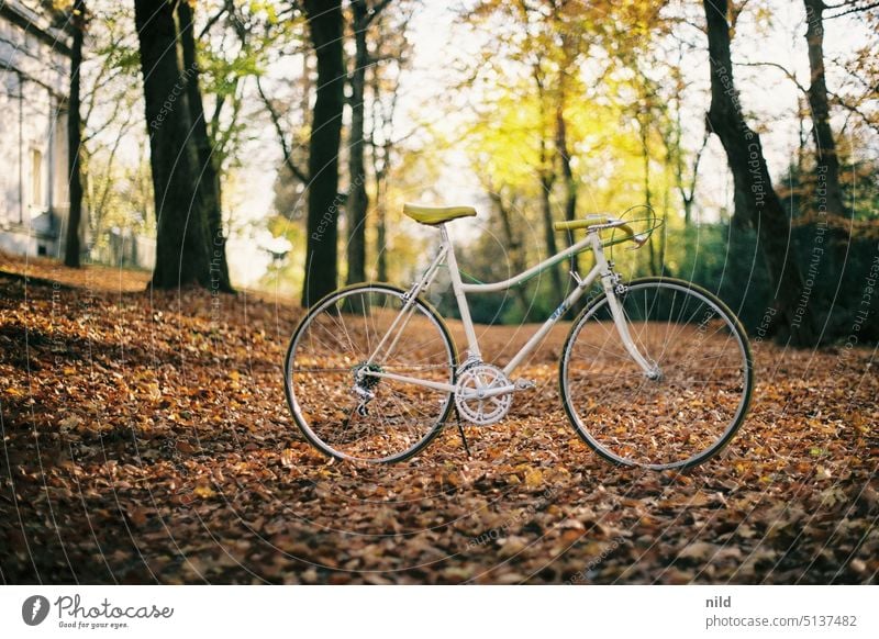 Vintage Damen Rennrad in herbstlicher Parkanlage, Totale. retro stahlrahmen Lifestyle Verkehrsmittel Fahrrad Freizeit & Hobby Sport Farbfoto sportlich Mobilität