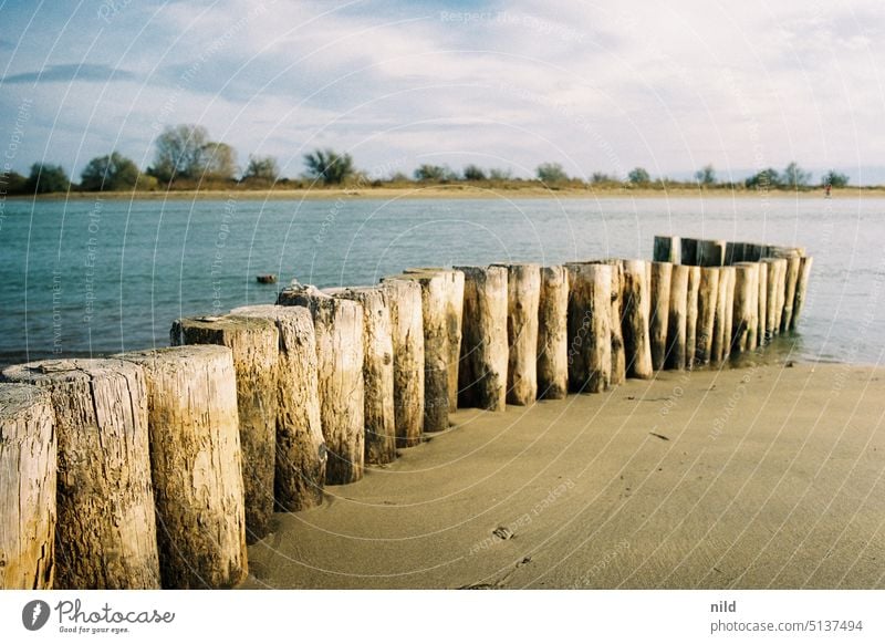 Spiaggia Brussa, am Strand I Landschaft Natur Naturschutzgebiet Naturerlebnis Menschenleer Umwelt Außenaufnahme Italien Norditalien Ferien & Urlaub & Reisen