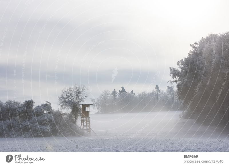 Jägerstand in winterlicher Wiesen und Waldlandschaft Hochsitz Jagd Jagen Hochstand frostig Landschaft schießen warten Holz Natur Bäume beobachten Aussicht