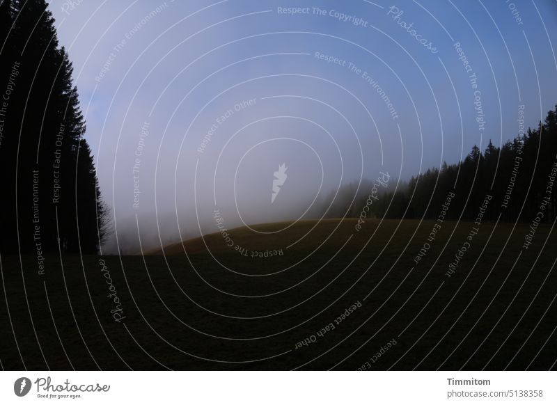 Der Nebel beginnt sich aufzulösen… Tal Hügel Bäume Wald Schwarzwald Himmel blau dunkel Landschaft Natur Menschenleer Winter Herbst Stimmung Aufbruch Emotion