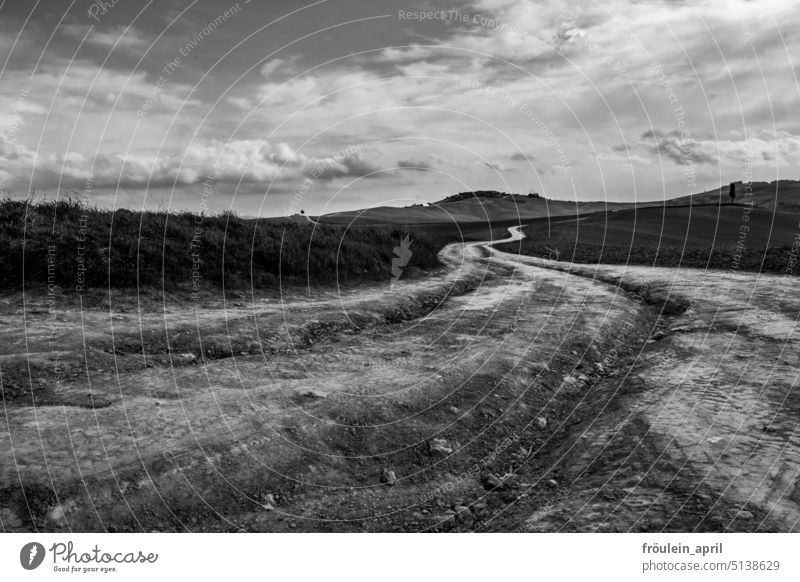 rocky road | unbequemer Feldweg Wege & Pfade feldweg Landschaft Natur Umwelt Menschenleer Baum Wolken Hügel hügelig Toskana Hügelige Landschaft trocken