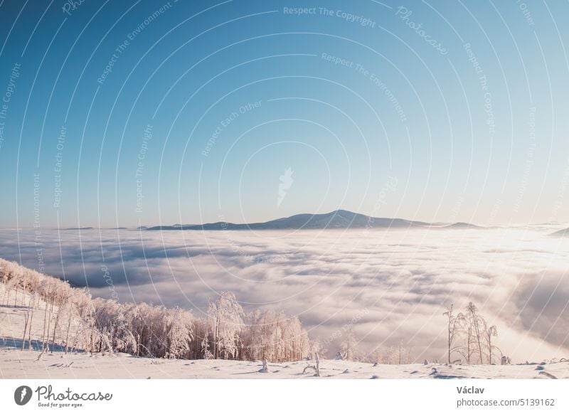 Märchenhafte Winterlandschaft mit Blick auf das Wolkenmeer, das am Morgen von der Sonne beleuchtet wird. Der Sonnenaufgang glitzert auf dem frisch verschneiten Boden. Beskiden, Tschechische Republik