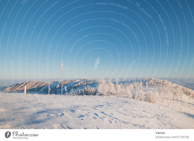 Atemberaubendes, sanftes Morgenlicht beleuchtet die Berge unter einer Schneedecke und einen Teil des Waldes, der den Berg bedeckt. Beskiden, Tschechische Republik