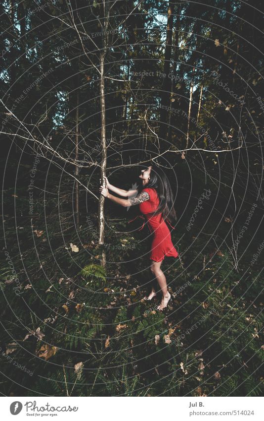 Schütteln mich feminin Junge Frau Jugendliche 1 Mensch Natur Baum träumen Farbfoto Außenaufnahme Tag Ganzkörperaufnahme