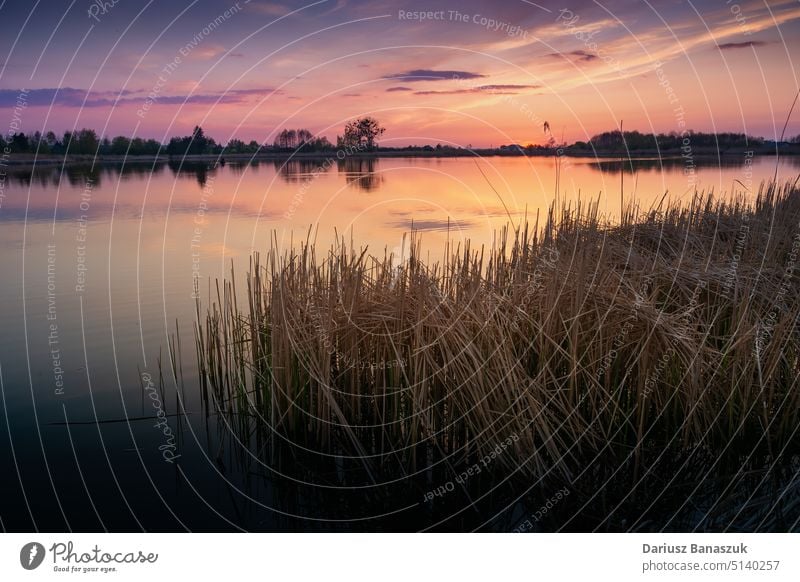 Der Himmel nach Sonnenuntergang über dem See mit Schilf im Freien Natur Wasser Abenddämmerung Horizont Reflexion & Spiegelung blau Dämmerung Cloud schön