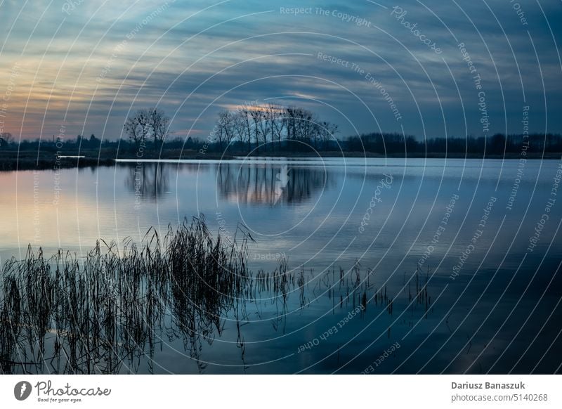 Abendwolken über einem ruhigen See mit Schilf Cloud im Freien Natur Himmel Wasser Landschaft Horizont Schilfrohr Dämmerung Windstille Licht Sonnenuntergang